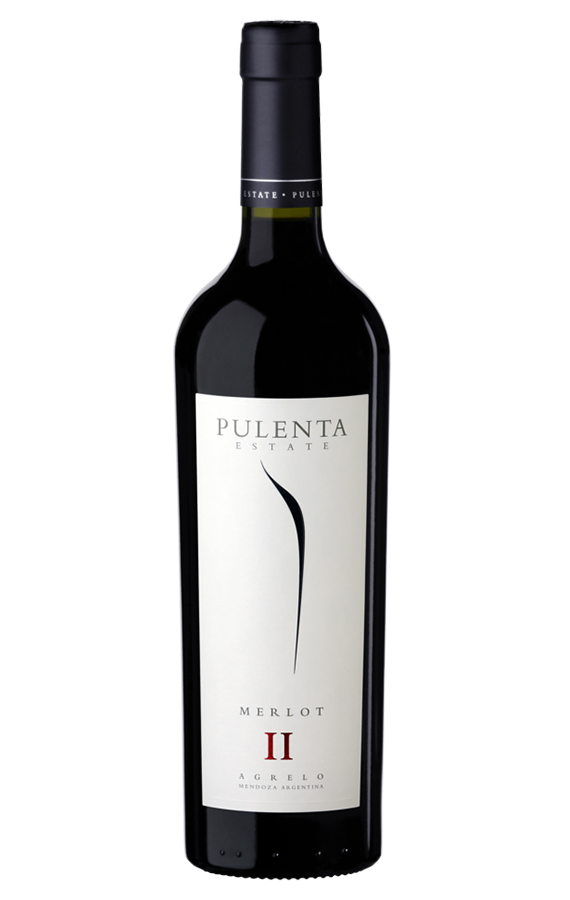 2019 Pulenta Estate, Gran Merlot, Mendoza, Argentina