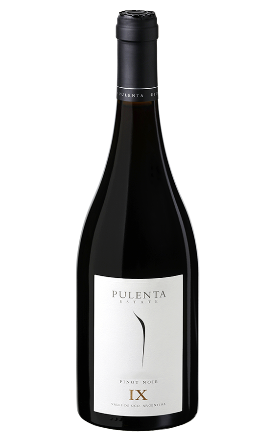 2021 Pulenta Estate, Pinot Noir, Mendoza, Argentina