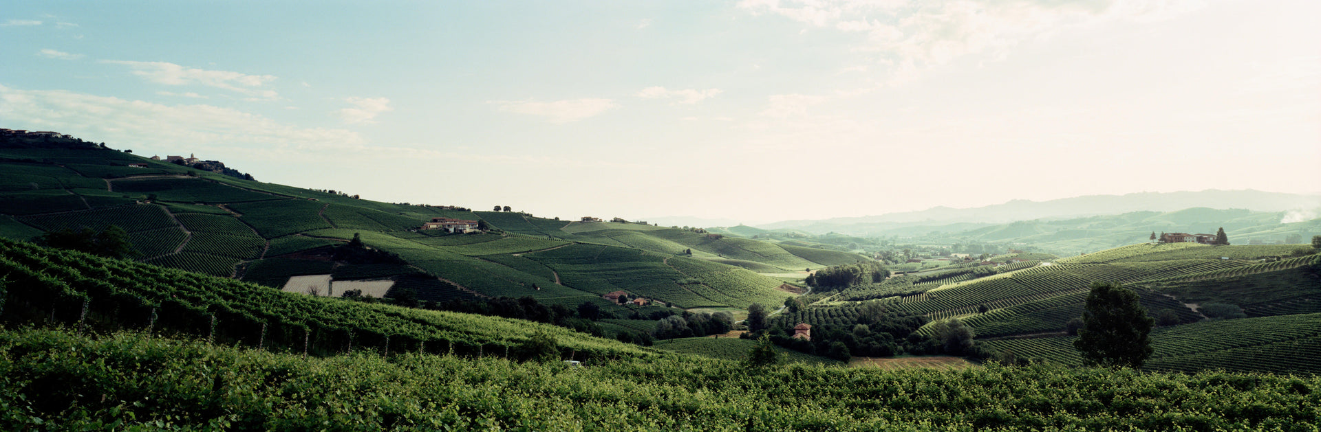 ベリー・ブラザーズ&ラッド｜英国王室御用達ワイン - ベリー