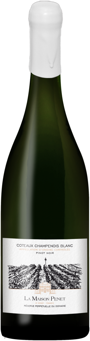 コトー・シャンプノワ・ブラン、ピノ・ノワール プネ=シャルドネ